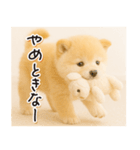 子犬のゆるく使う日常スタンプ（個別スタンプ：25）