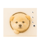子犬のゆるく使う日常スタンプ（個別スタンプ：27）