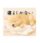 子犬のゆるく使う日常スタンプ（個別スタンプ：28）