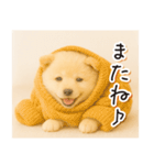 子犬のゆるく使う日常スタンプ（個別スタンプ：31）