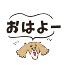 毎日つかえるいぬおじ（個別スタンプ：1）