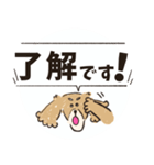 毎日つかえるいぬおじ（個別スタンプ：12）