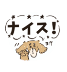 毎日つかえるいぬおじ（個別スタンプ：13）