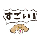 毎日つかえるいぬおじ（個別スタンプ：15）