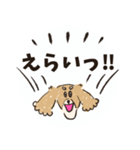 毎日つかえるいぬおじ（個別スタンプ：25）