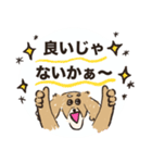 毎日つかえるいぬおじ（個別スタンプ：26）