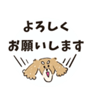 毎日つかえるいぬおじ（個別スタンプ：29）