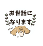毎日つかえるいぬおじ（個別スタンプ：32）