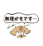 毎日つかえるいぬおじ（個別スタンプ：37）