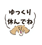 毎日つかえるいぬおじ（個別スタンプ：40）