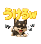 『見やすい☆でか文字』3D黒ポメ（個別スタンプ：16）