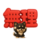 『見やすい☆でか文字』3D黒ポメ（個別スタンプ：23）