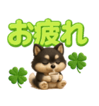 『見やすい☆でか文字』3D黒ポメ（個別スタンプ：25）