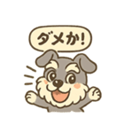 全力はしゃぎシュナ（個別スタンプ：1）