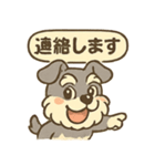 全力はしゃぎシュナ（個別スタンプ：4）