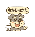 全力はしゃぎシュナ（個別スタンプ：5）