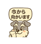 全力はしゃぎシュナ（個別スタンプ：6）