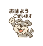 全力はしゃぎシュナ（個別スタンプ：12）