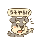 全力はしゃぎシュナ（個別スタンプ：13）