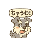 全力はしゃぎシュナ（個別スタンプ：14）