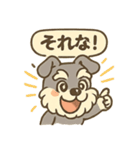 全力はしゃぎシュナ（個別スタンプ：15）