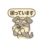 全力はしゃぎシュナ（個別スタンプ：24）