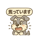 全力はしゃぎシュナ（個別スタンプ：25）
