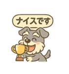 全力はしゃぎシュナ（個別スタンプ：29）