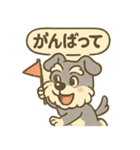 全力はしゃぎシュナ（個別スタンプ：31）