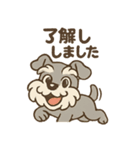 全力はしゃぎシュナ（個別スタンプ：34）