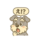 全力はしゃぎシュナ（個別スタンプ：35）