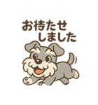 全力はしゃぎシュナ（個別スタンプ：38）