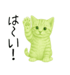 推し猫【緑】………………..（個別スタンプ：11）