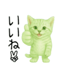 推し猫【緑】………………..（個別スタンプ：13）