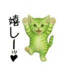 推し猫【緑】………………..（個別スタンプ：15）