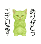 推し猫【緑】………………..（個別スタンプ：20）