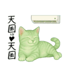 推し猫【緑】………………..（個別スタンプ：27）