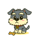 シュナウザーの日常.でか顔ver.NEW！！（個別スタンプ：12）