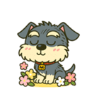 シュナウザーの日常.でか顔ver.NEW！！（個別スタンプ：34）