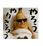 現役バナナ(意外と使える下ネタポジティブ)（個別スタンプ：5）