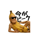 現役バナナ(意外と使える下ネタポジティブ)（個別スタンプ：33）