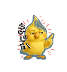 ネガティブオカメインコ6（個別スタンプ：18）