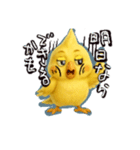 ネガティブオカメインコ6（個別スタンプ：22）