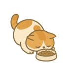 かわいいネコたちの全力土下座集（個別スタンプ：8）