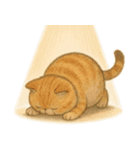 かわいいネコたちの全力土下座集（個別スタンプ：15）