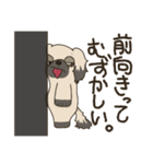 安分守己な犬（個別スタンプ：6）