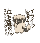 安分守己な犬（個別スタンプ：13）