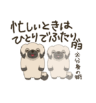 安分守己な犬（個別スタンプ：20）