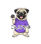 Tシャツ着たパグの毎日使えるスタンプ（個別スタンプ：3）