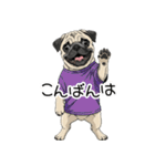Tシャツ着たパグの毎日使えるスタンプ（個別スタンプ：4）